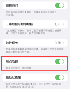 临安苹果授权维修站分享iPhone轻点无法唤醒怎么办