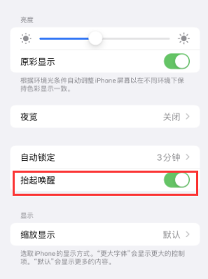 临安苹果授权维修站分享iPhone轻点无法唤醒怎么办