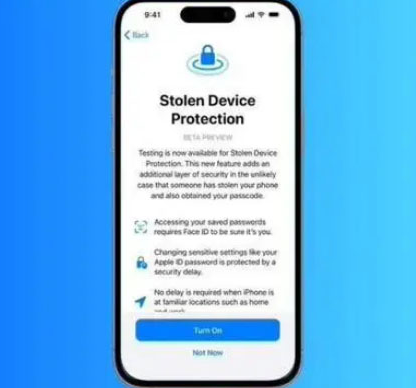 临安苹果授权维修店分享被盗设备保护功能开启方法