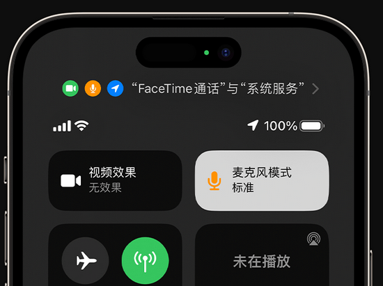 临安苹果授权维修网点分享iPhone在通话时让你的声音更清晰 