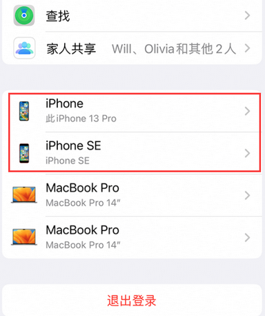 临安苹临安果维修网点分享iPhone如何查询序列号