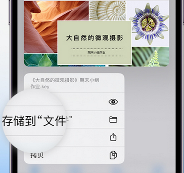 临安apple维修中心分享iPhone文件应用中存储和找到下载文件