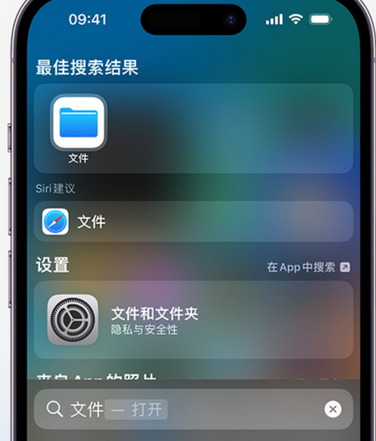 临安apple维修中心分享iPhone文件应用中存储和找到下载文件 