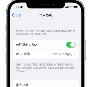 临安apple服务站点分享iPhone上个人热点丢失了怎么办 