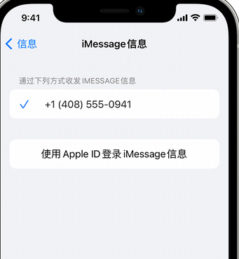 临安apple维修iPhone上无法正常发送iMessage信息 