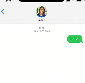 临安apple维修iPhone上无法正常发送iMessage信息