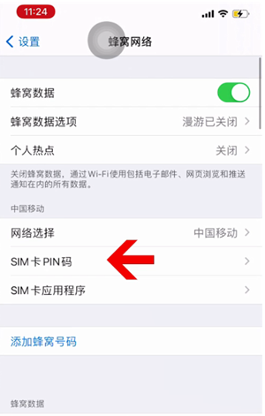 临安苹果14维修网分享如何给iPhone14的SIM卡设置密码 