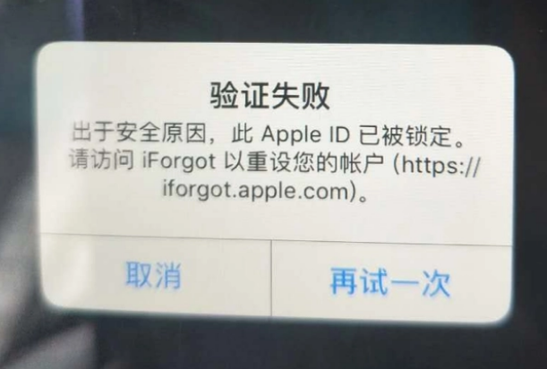 临安iPhone维修分享iPhone上正常登录或使用AppleID怎么办 