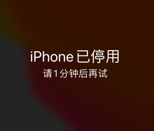 临安苹果手机维修分享:iPhone 显示“不可用”或“已停用”怎么办？还能保留数据吗？ 