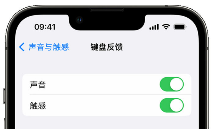 临安苹果手机维修分享iPhone 14触感键盘使用方法 