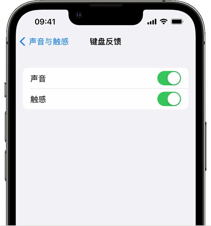 临安苹果14维修店分享如何在 iPhone 14 机型中使用触感键盘 