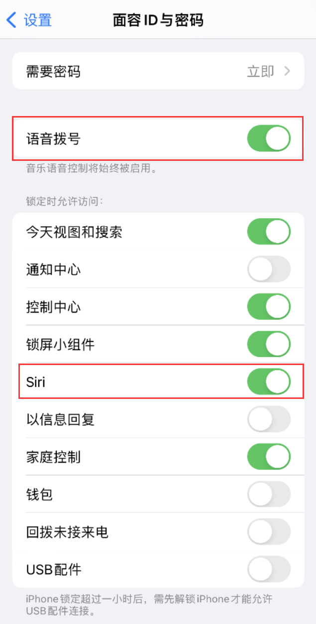 临安苹果维修网点分享不解锁 iPhone 的情况下通过 Siri 拨打电话的方法 