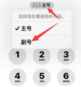 临安苹果14维修店分享iPhone 14 Pro Max使用副卡打电话的方法 