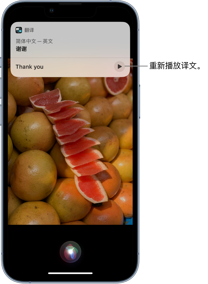 临安苹果14维修分享 iPhone 14 机型中使用 Siri：了解 Siri 能帮你做什么 