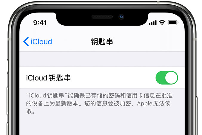 临安苹果手机维修分享在 iPhone 上开启 iCloud 钥匙串之后会储存哪些信息 