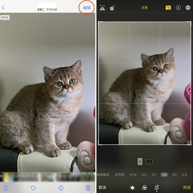 临安苹果手机维修分享苹果 iPhone 12 Pro 拍照会过度锐化 