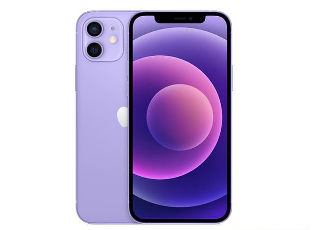 临安苹果手机维修分享现阶段要不要入手紫色版iPhone12 