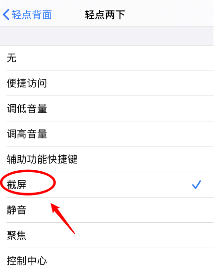 临安苹果手机维修分享iPhone12如何启用双击截屏 