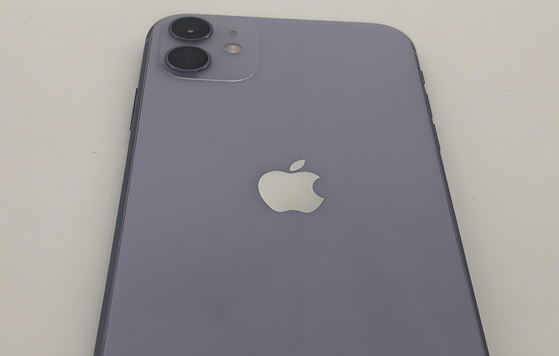 临安苹果11系统维修分享iPhone11手机系统崩溃无法开机如何解决